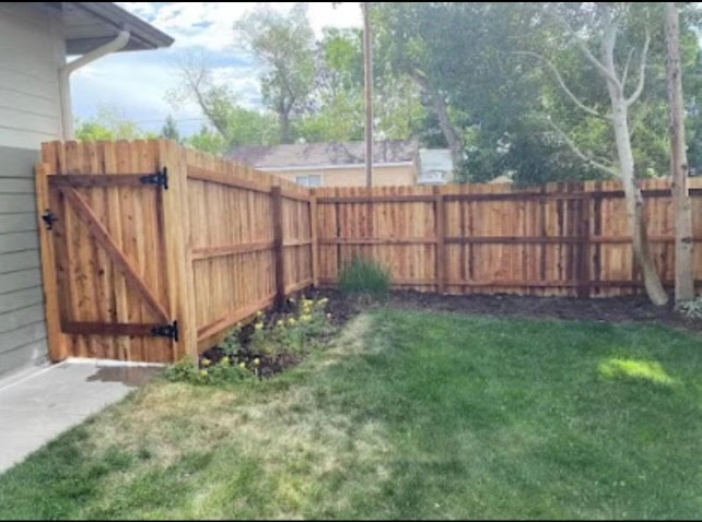 Cedar Fencing