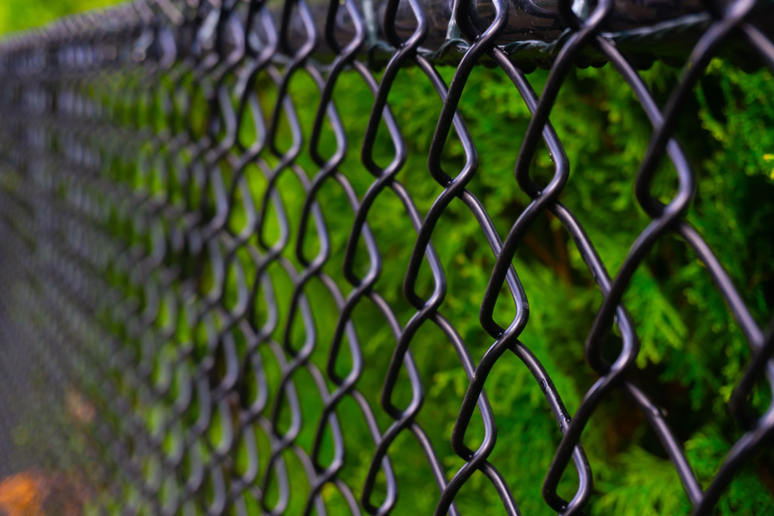 Chain Link Fencing