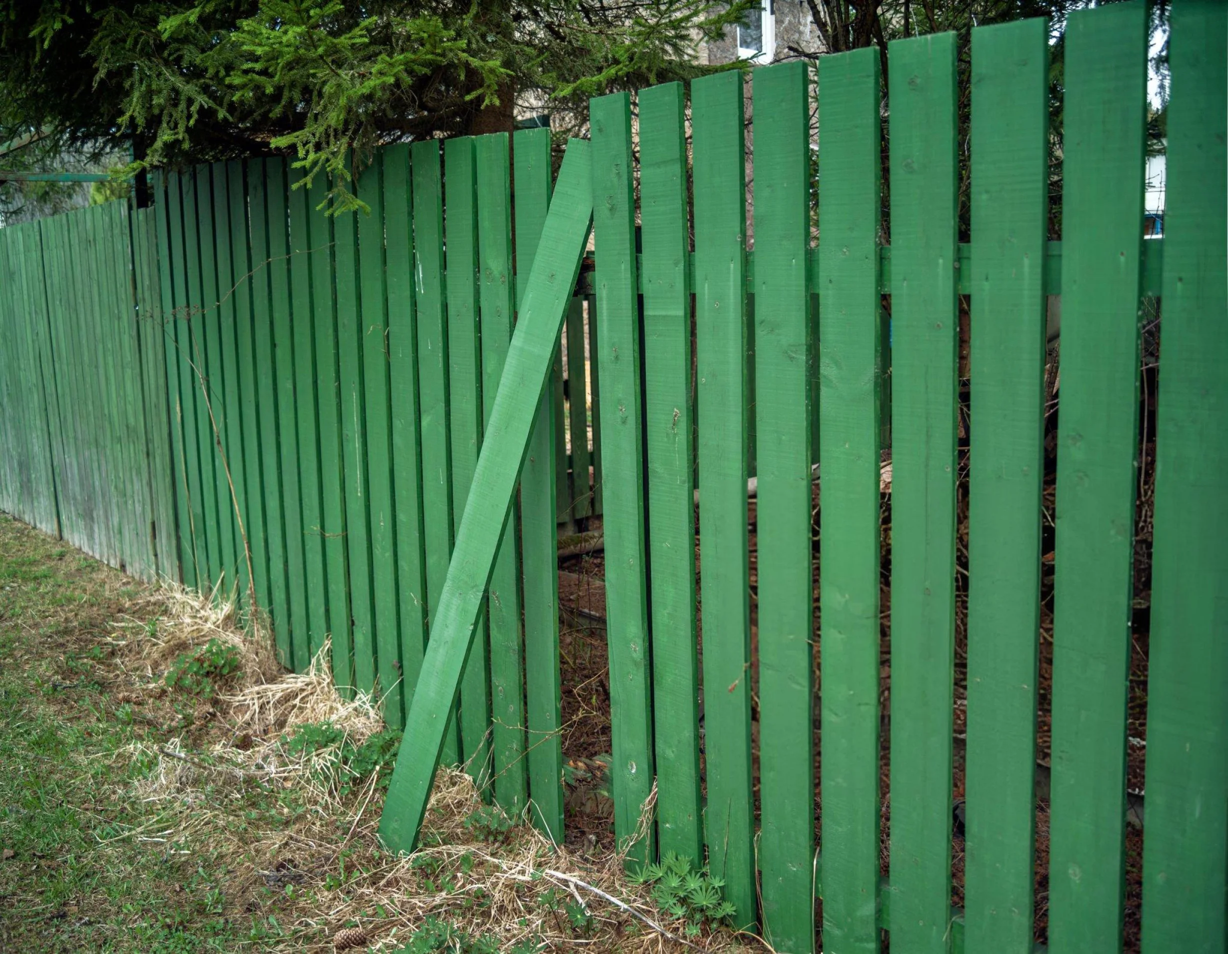 Fence Removal