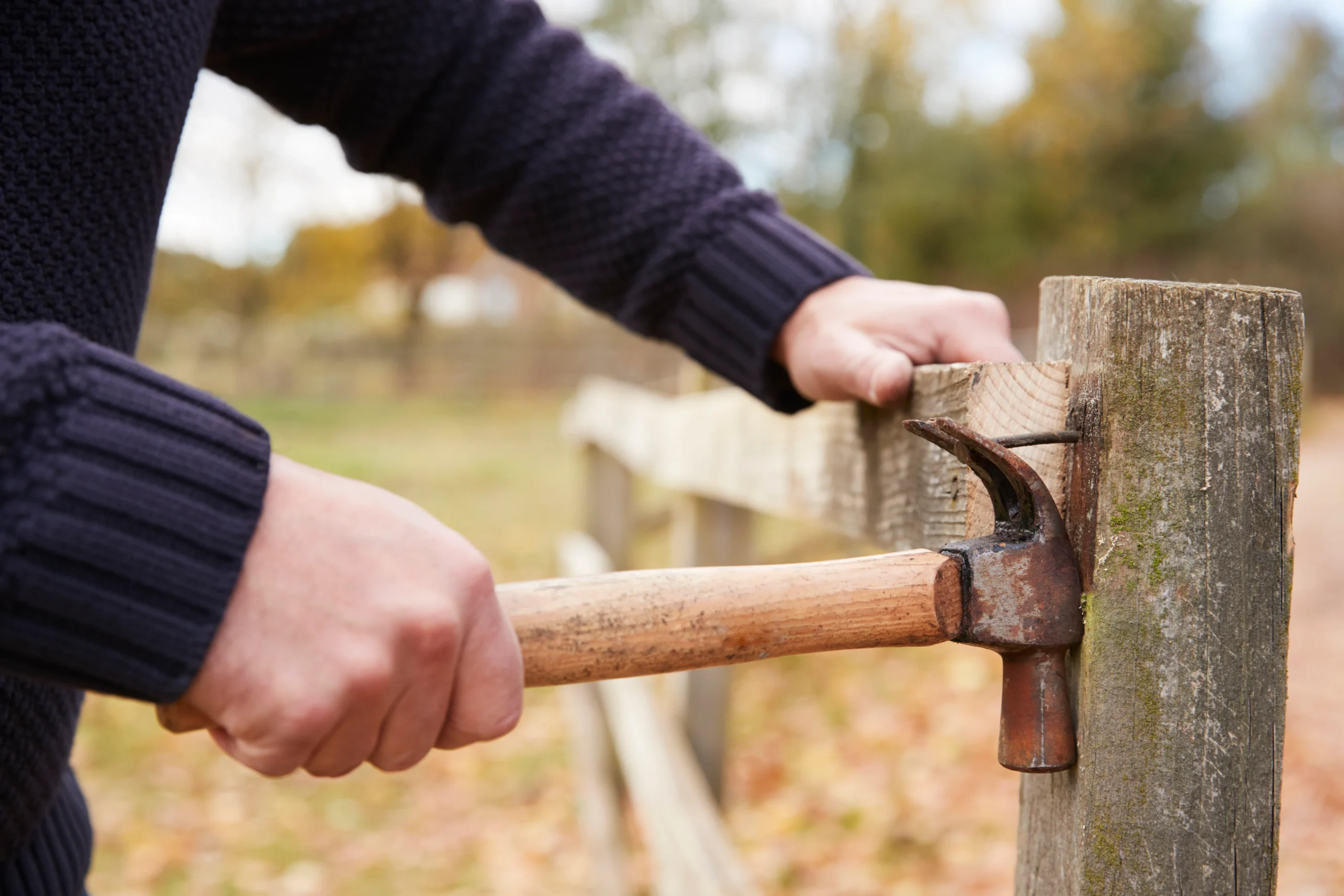 Fence Removal