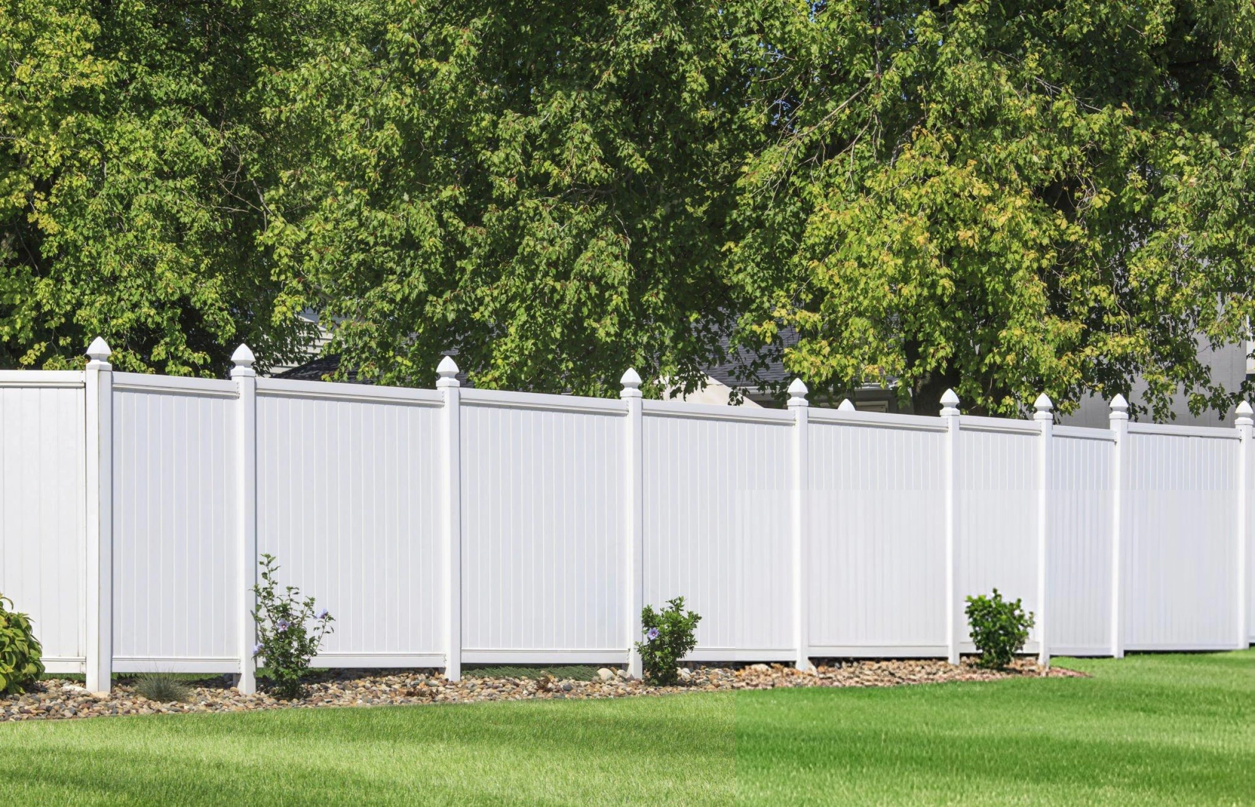 Privacy Fencing