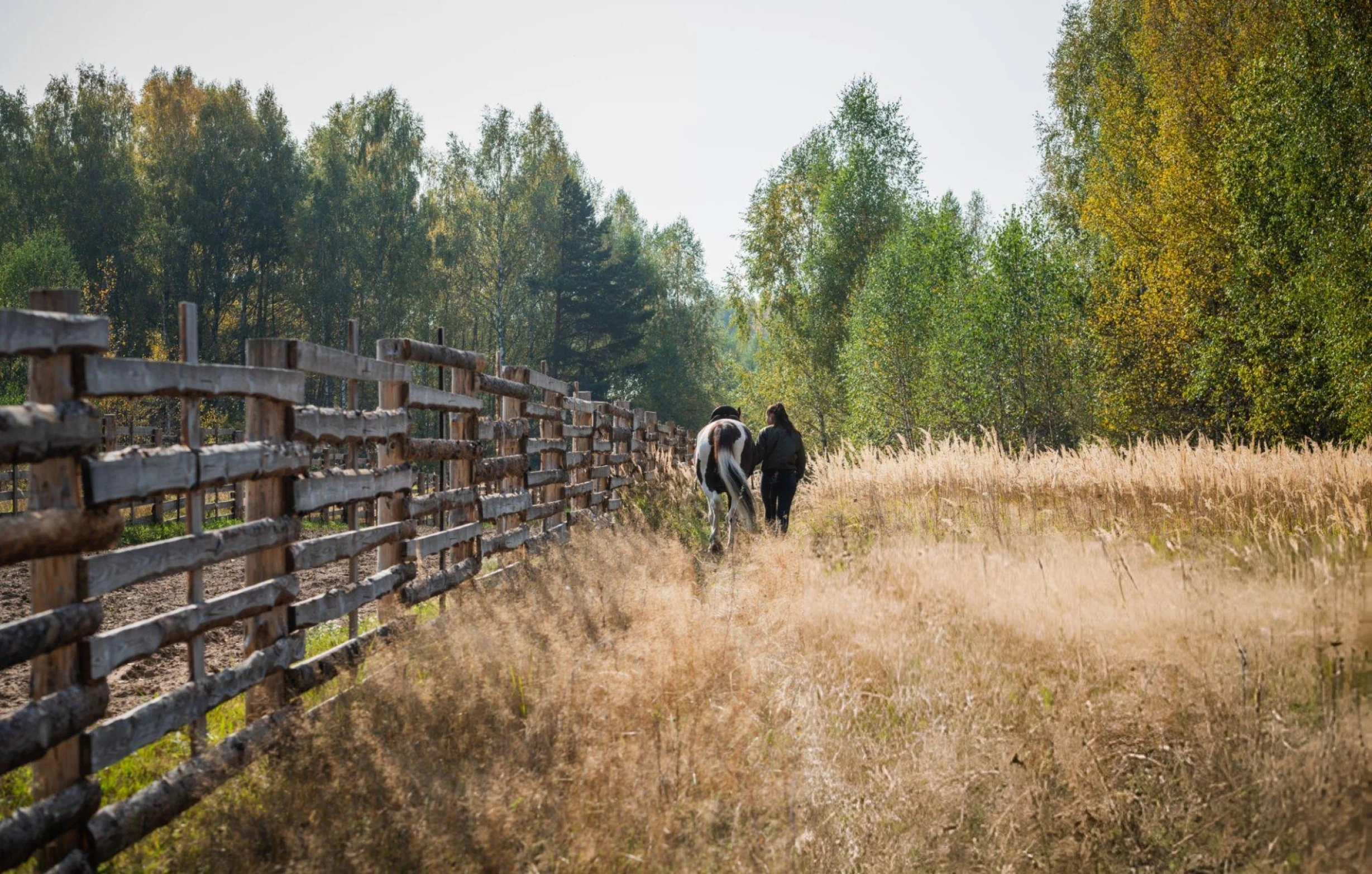 Ranch Style Fencing