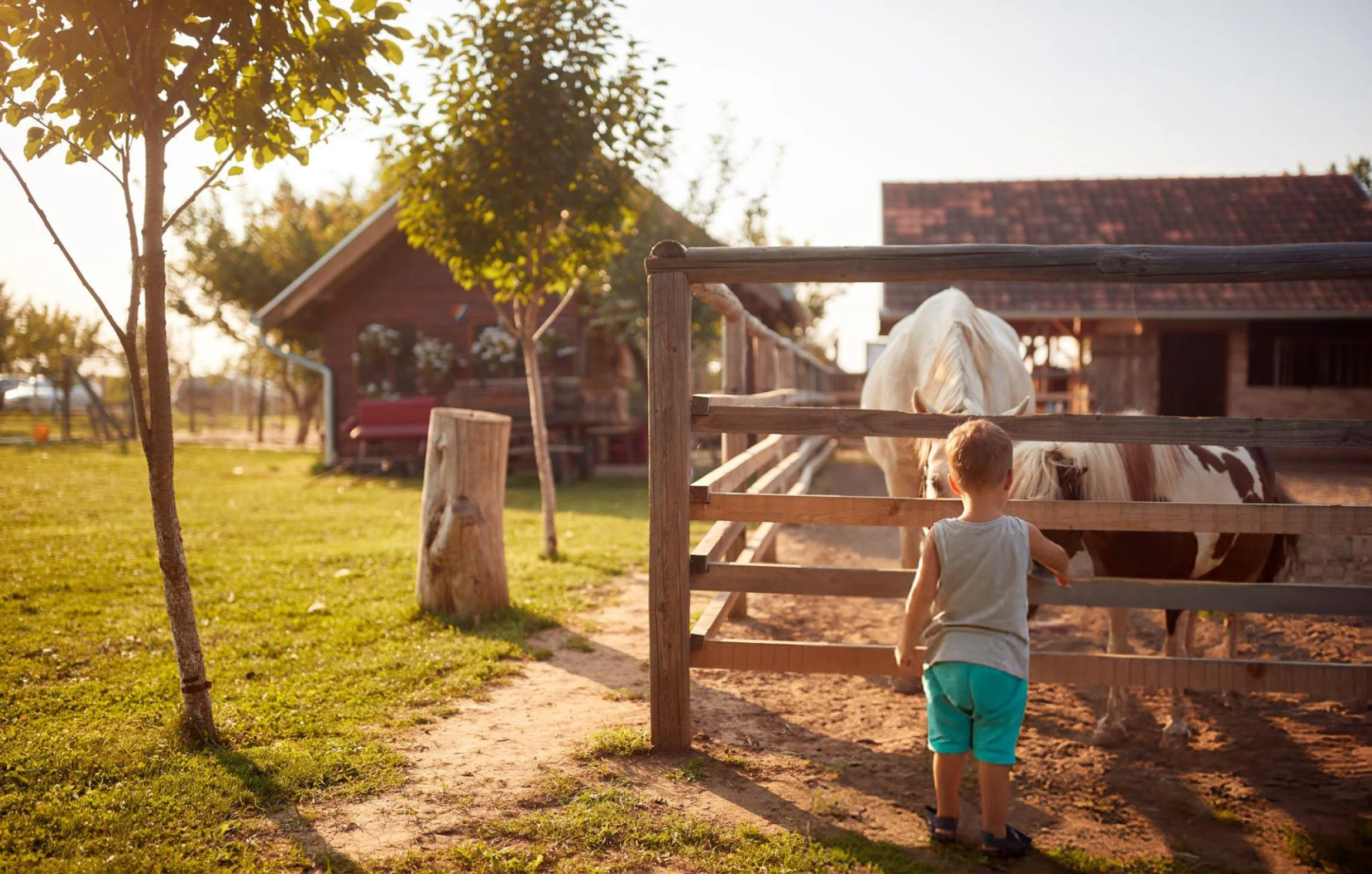 Ranch Style Fencing