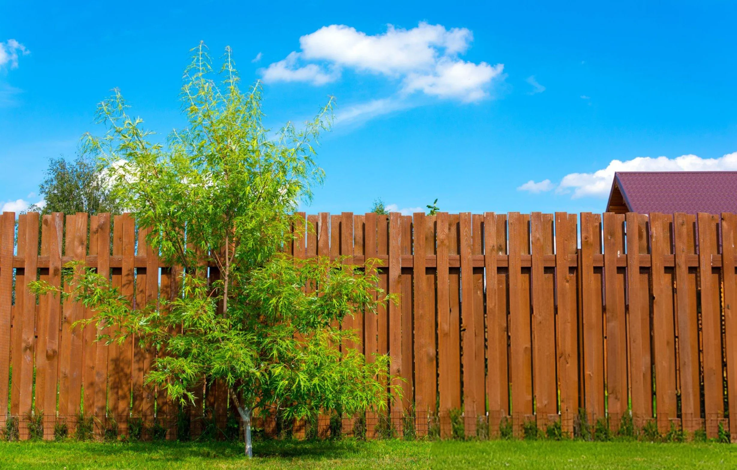 Wood Fencing